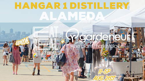 Headwest @ Hanger 1 Distillery, Alameda 12/18