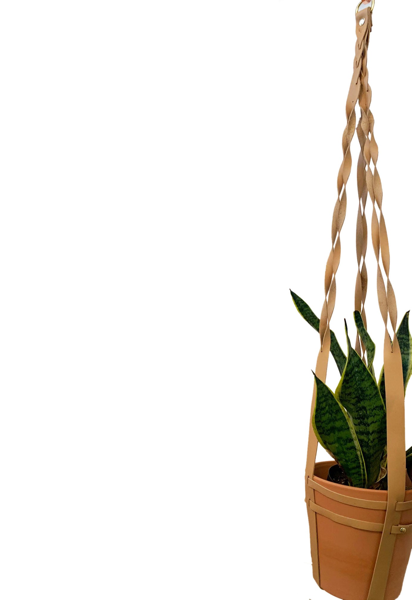Braided Hanging Planter - Free Bird CA
