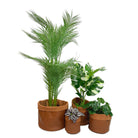 Slouchy Planters - Caramel - Free Bird CA