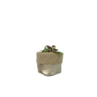 Slouchy Planters - Golden - Free Bird CA